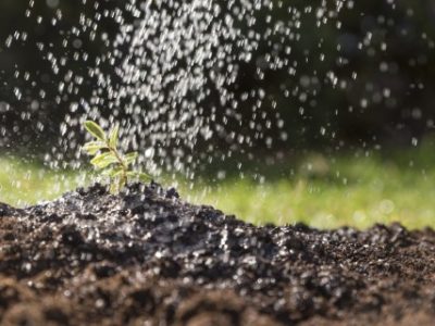 water-falling-plant (Telefone)
